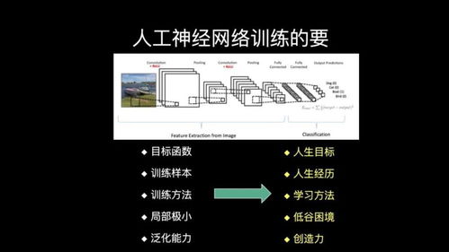 从人工神经网络的发展，探索脑网络优化的路径与人工智能基础软件开发